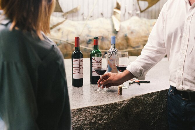 Montes Wineries Experience